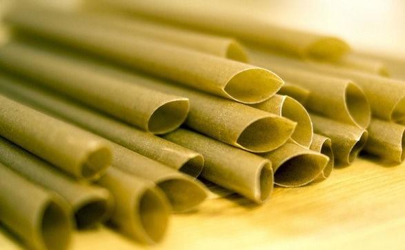 sugarcane biodegradable straw