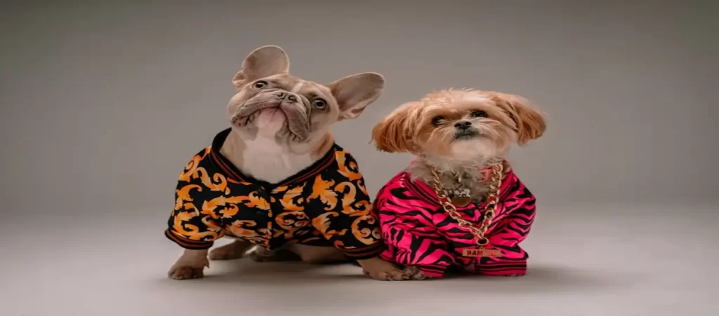 China Pet Clothing wholesale