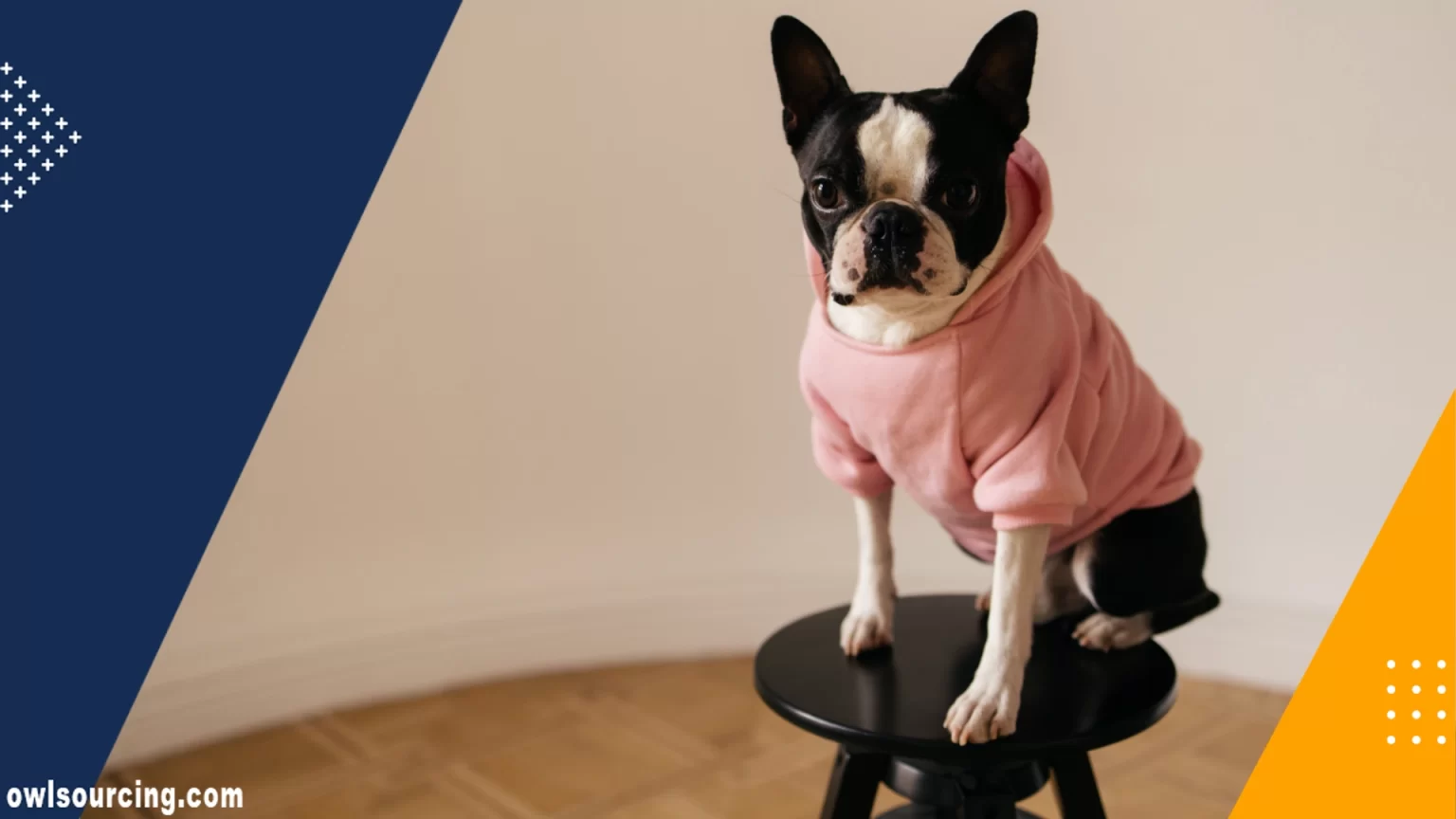 Best China Wholesale Pet Clothing Supplies Manufacturers