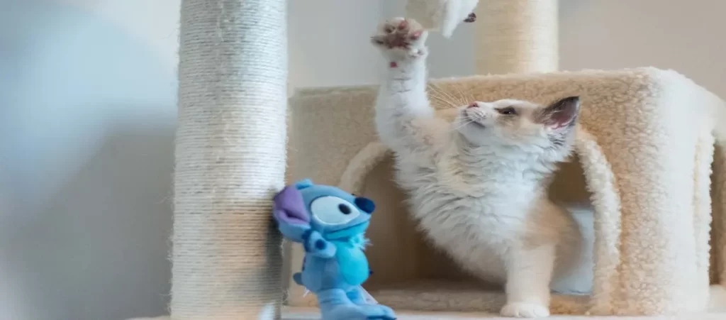 High quality Chinese cat tree 