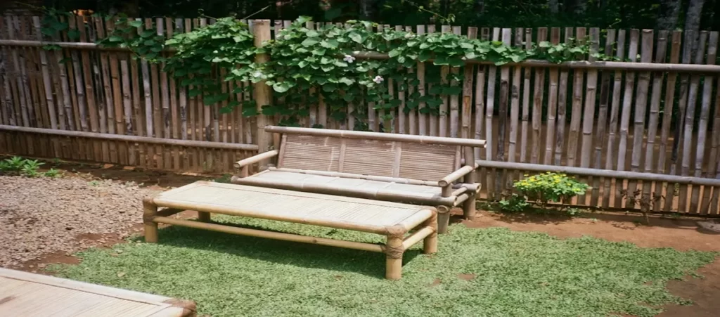decorative bamboo furniture