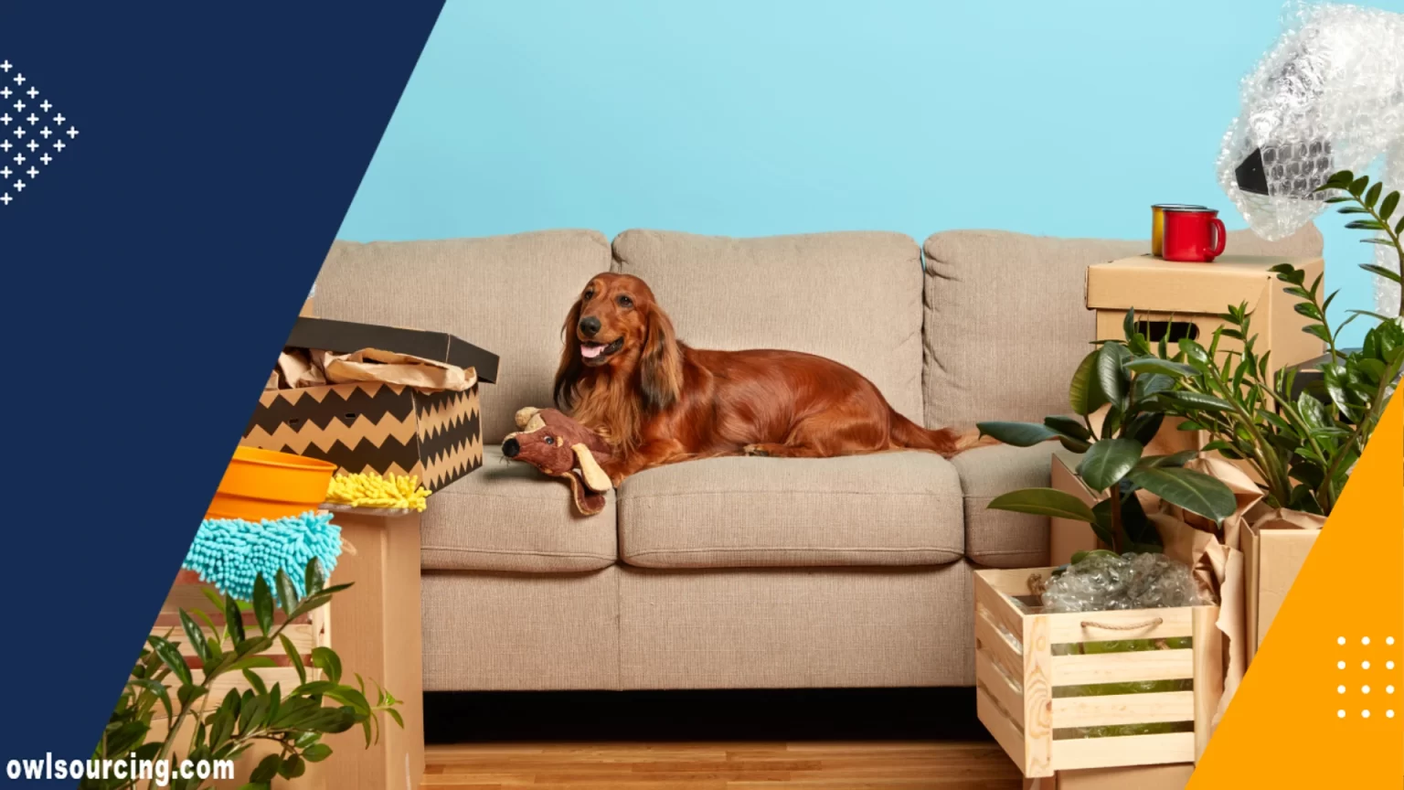 China Pet Furniture Manufacturers and Suppliers