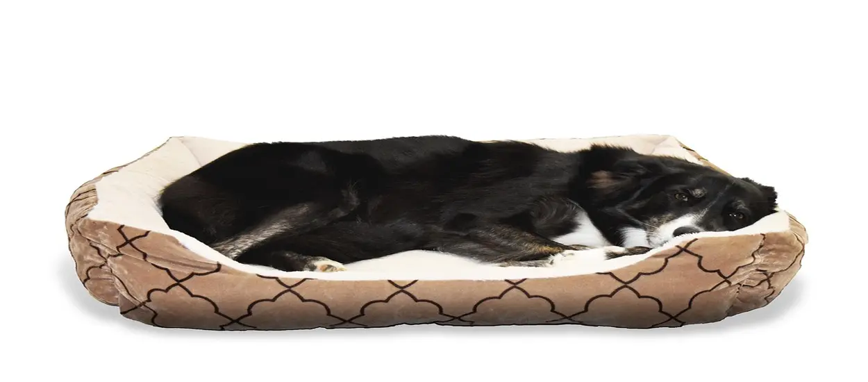 Types of Heated Dog Beds You Can Source from China