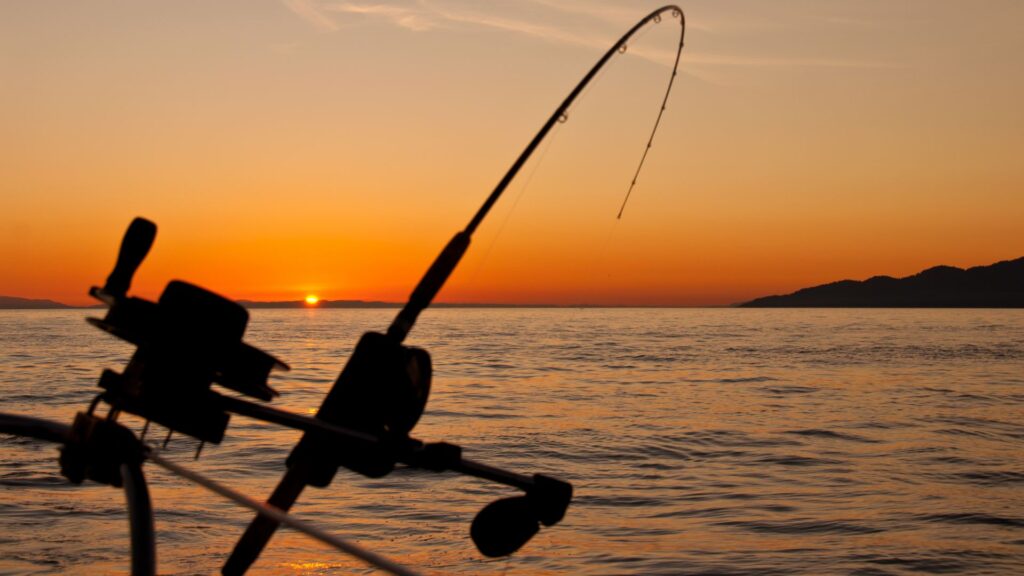 Hunting & Fishing