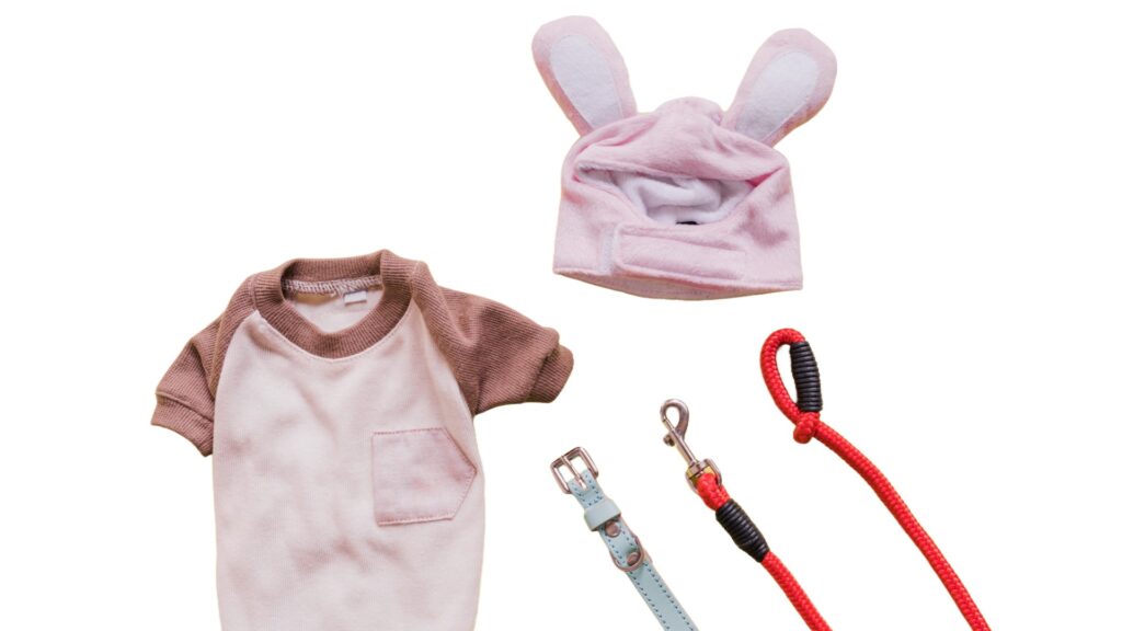 Pet Apparel & Accessories