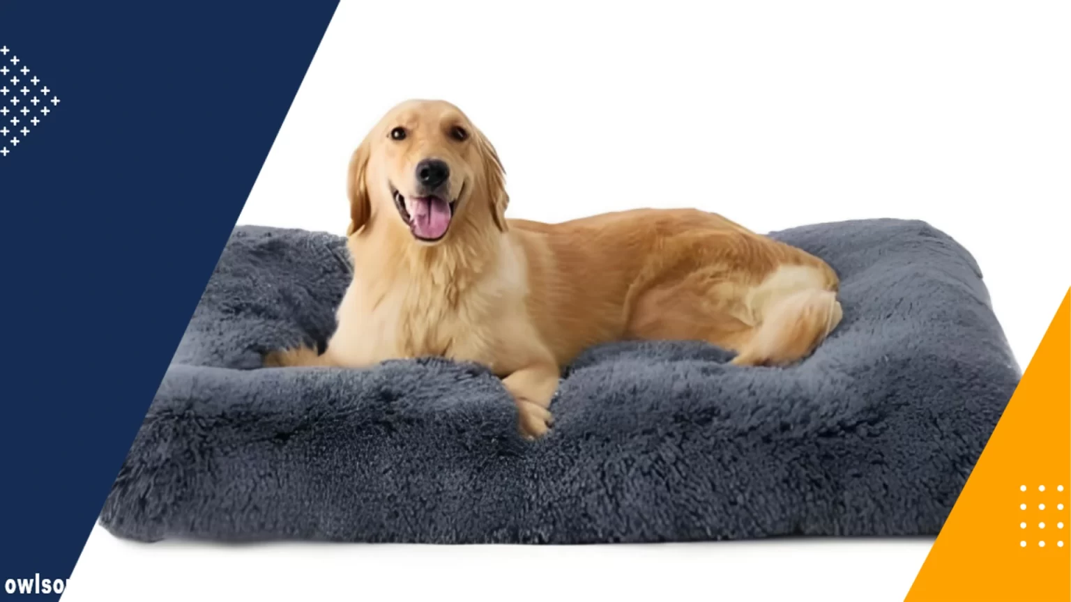 The Best Suppliers for Wholesale Custom Heated Dog Bed from China