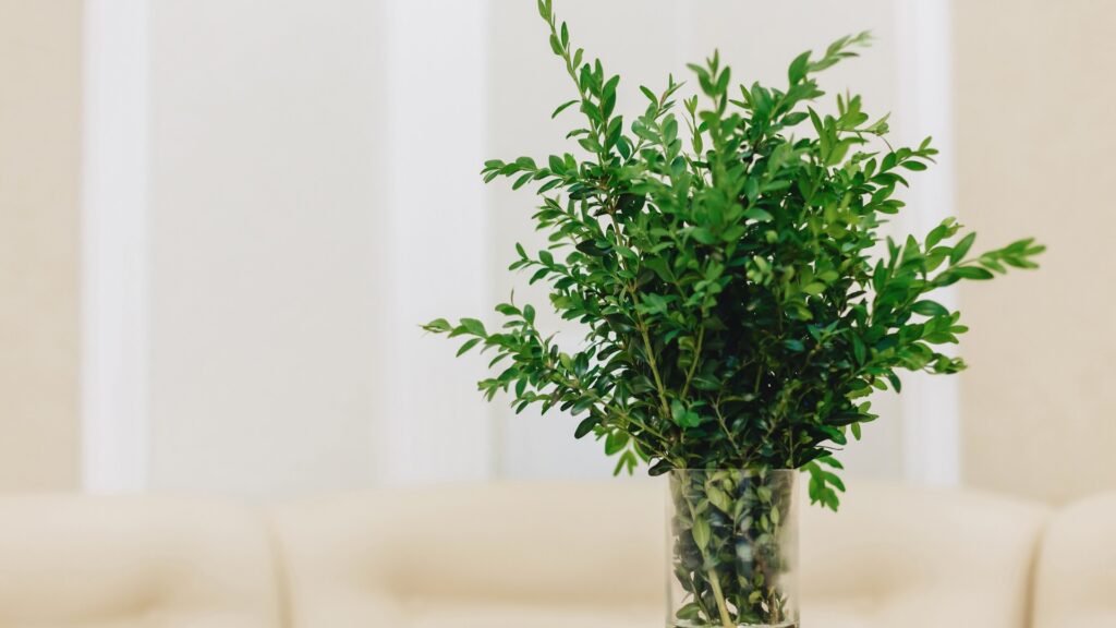 Artificial Plants & Trees