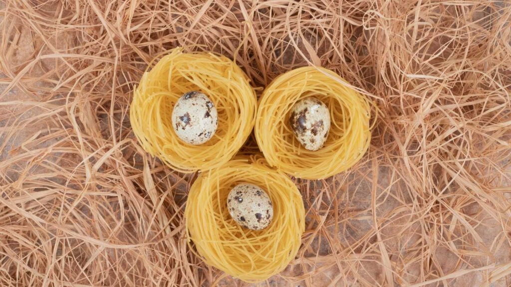 Bird Nesting & Bedding