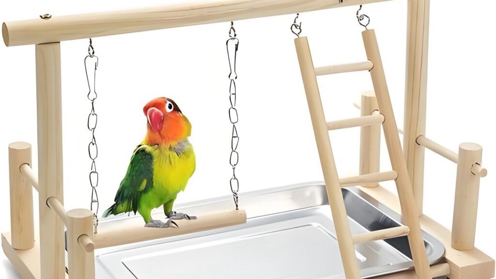 Bird Perches & Toys