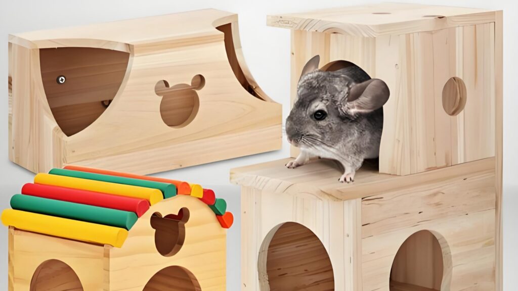 Chinchilla Supplies & Accessories