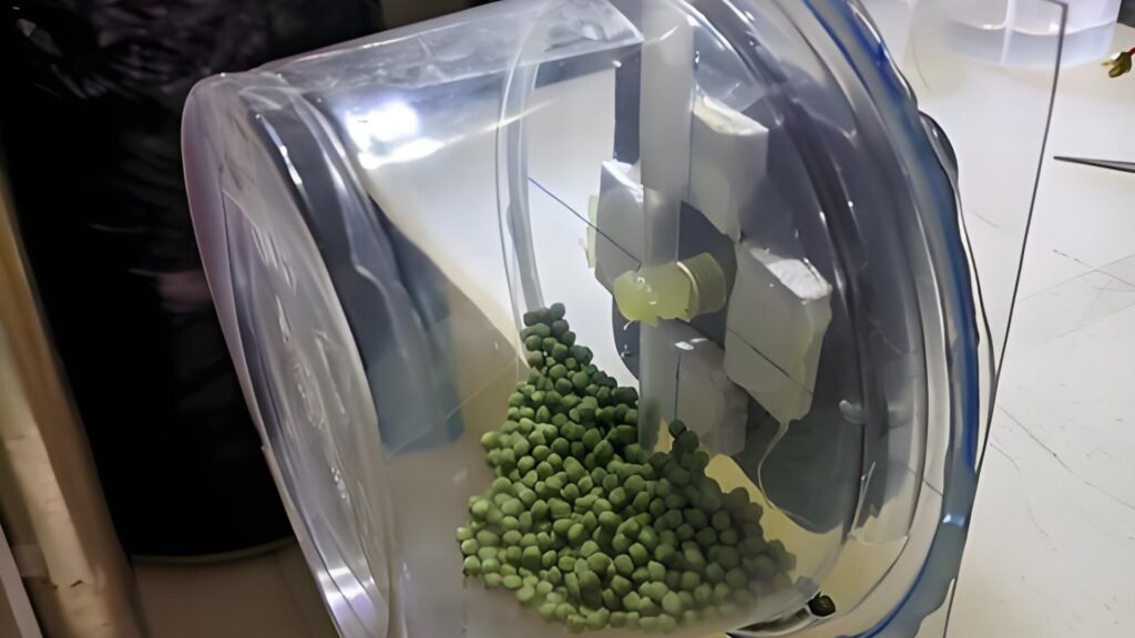 Fish Feeders