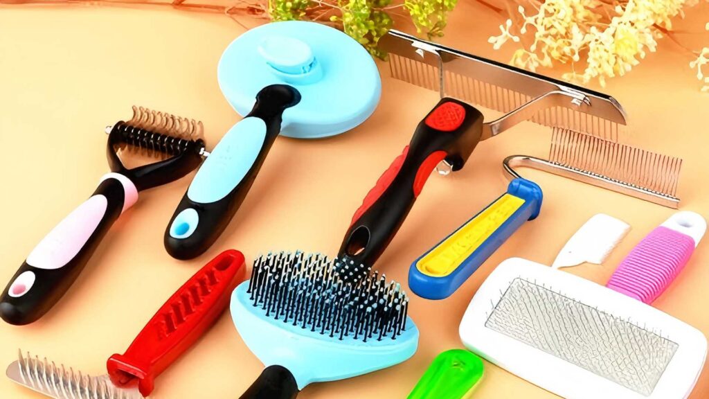 Livestock Show & Grooming Supplies