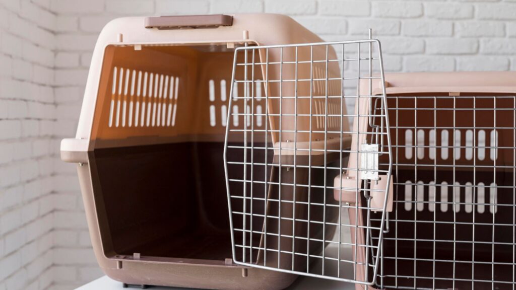 Pet Carriers