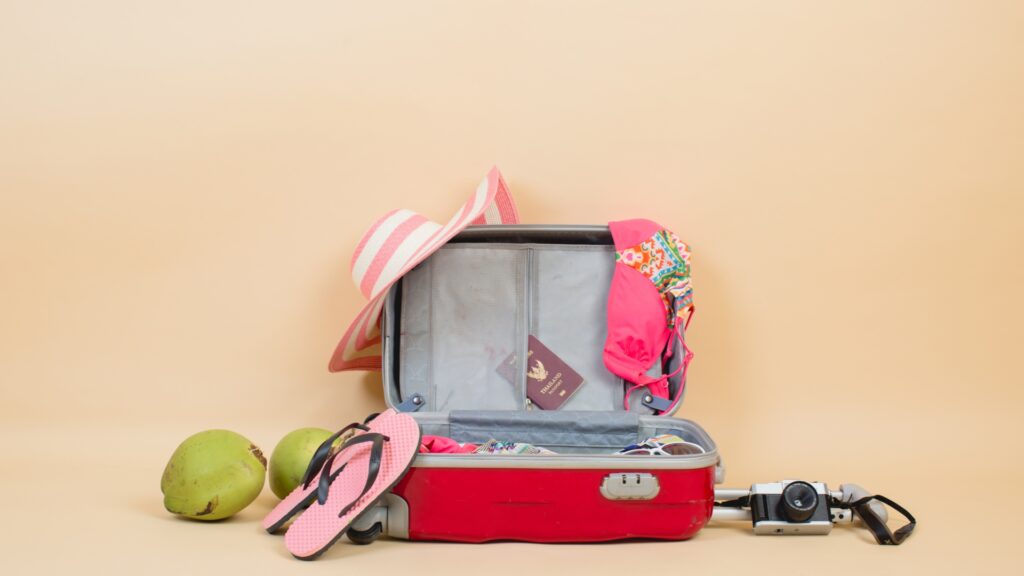 Pet Travel Products