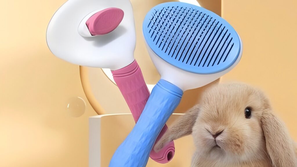 Rabbit Supplies & Accessories
