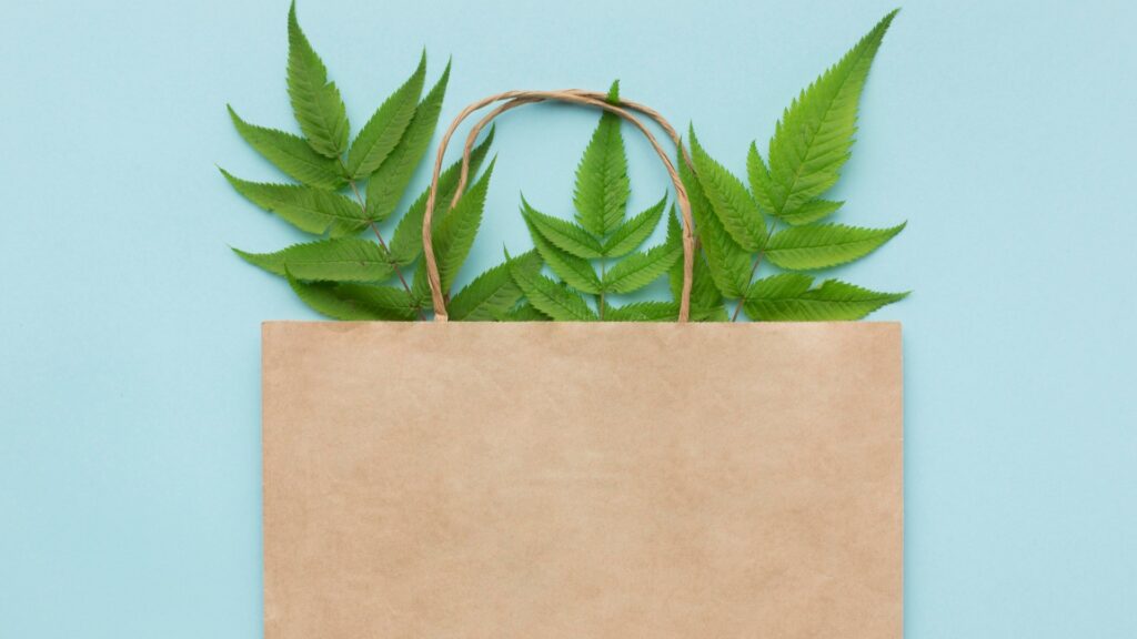 Recycled Paper Bags