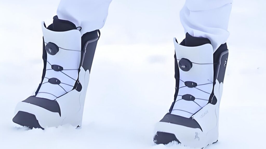 Snowshoeing