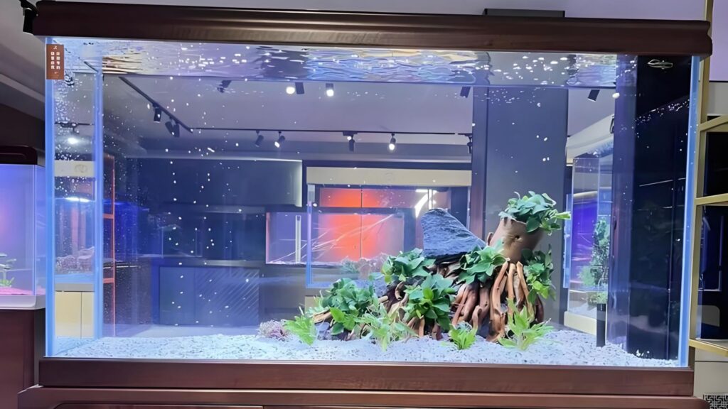 Aquarium & Fish Tank Water Care