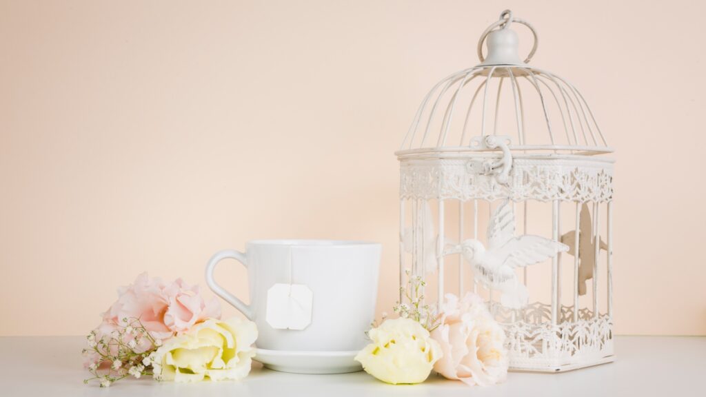 Bird Cages & Accessories