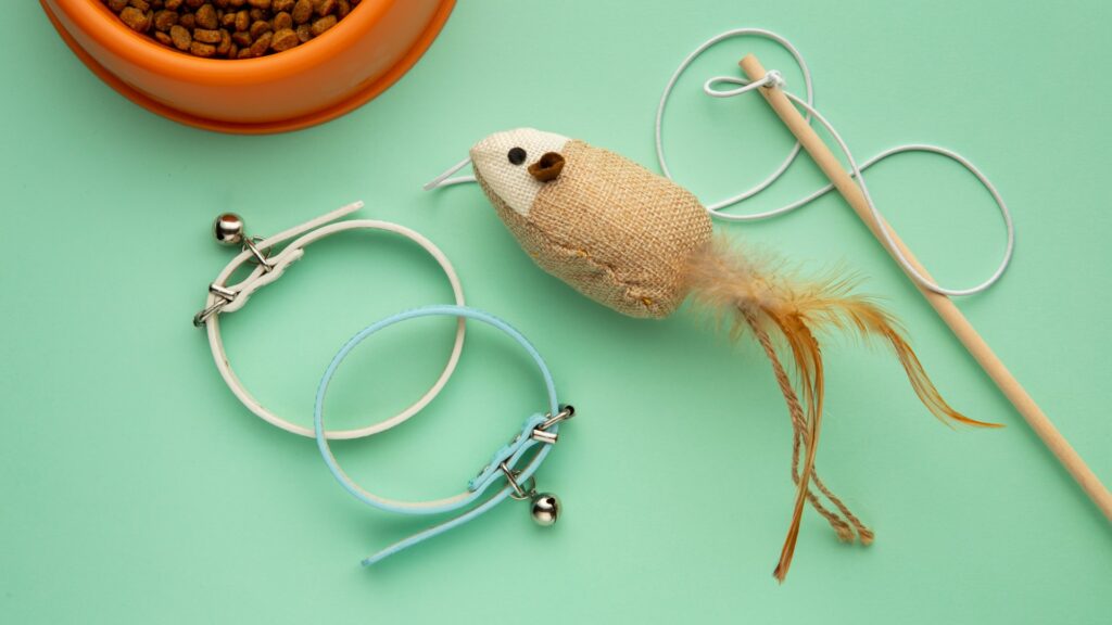 Cat Toys