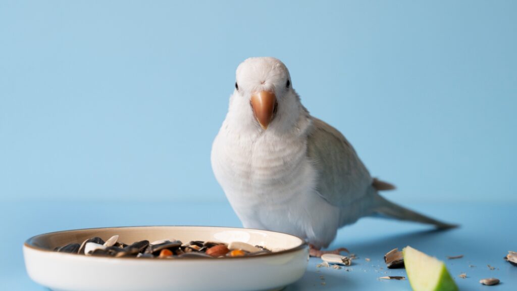 Other Bird Products
