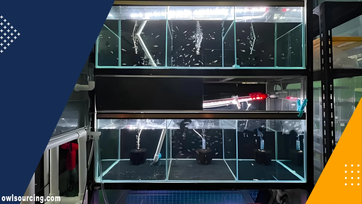 Step-by-Step Blueprint for Buying Aquarium Equipment from China
