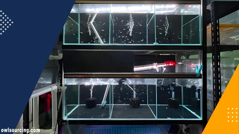 Step-by-Step Blueprint for Buying Aquarium Equipment from China